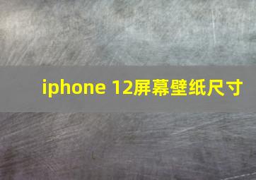 iphone 12屏幕壁纸尺寸